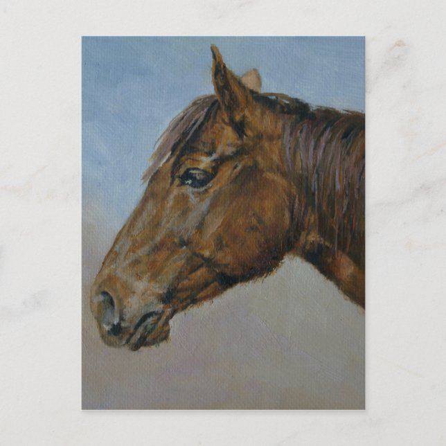 Beautiful Brown Horse Portrait Postcard (Front)