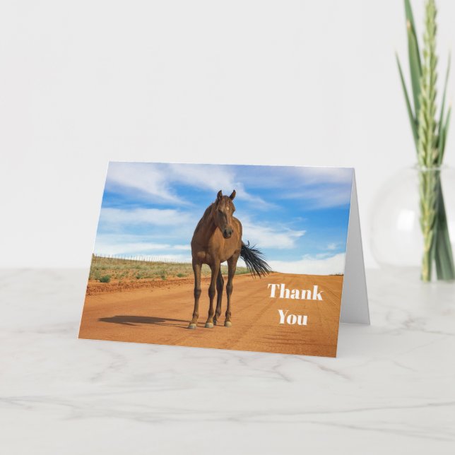 Beautiful Brown Horse Road Photo Thank You Card (Front)