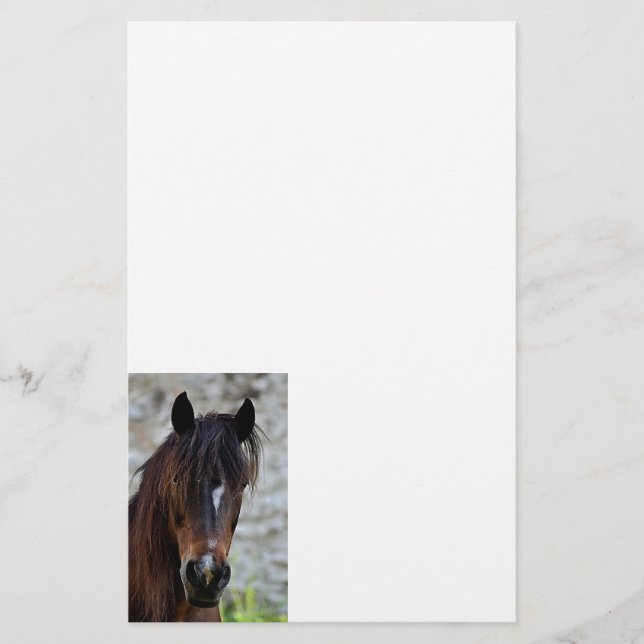 Beautiful Brown Horse Stationery (Front)