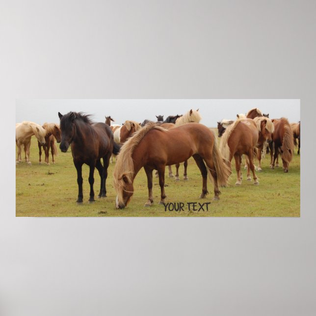 Beautiful brown horses poster (Front)