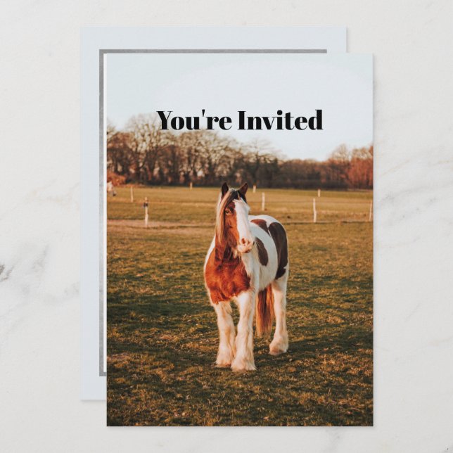 Beautiful Brown Paint Draught Horse Photo Birthday Invitation (Front/Back)