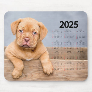 Beautiful Brown Puppy 2025 Dog Calendar Mouse Mat