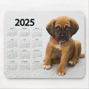 Beautiful Brown Puppy 2025 Dog Calendar Mouse Mat
