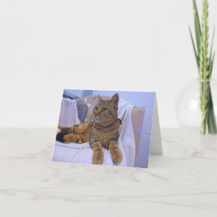 Beautiful Brown Tabby Card