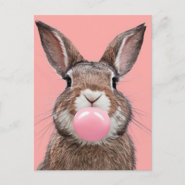 Beautiful  Brown White Rabbit Chewing Bubble Gum Postcard (Front)