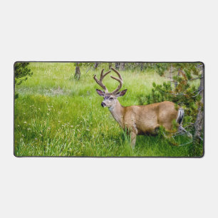 Beautiful Buck in the Meadow Desk Mat