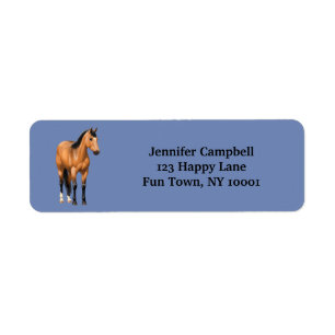 Beautiful Buckskin Quarter Horse