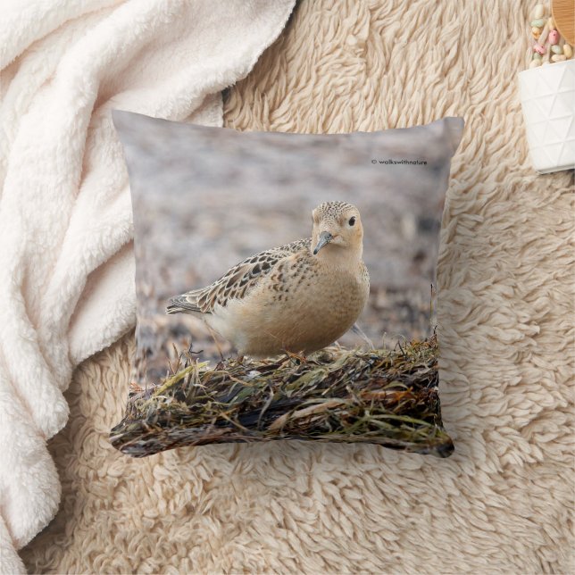 Beautiful Buff-Breasted Sandpiper at the Beach Cushion (Blanket)