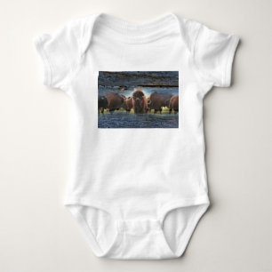 Beautiful Buffalo Herd Baby Bodysuit