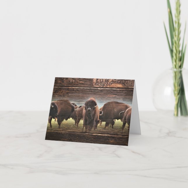 Beautiful Buffalo Herd Card (Front)