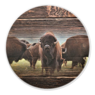 Beautiful Buffalo Herd Ceramic Knob