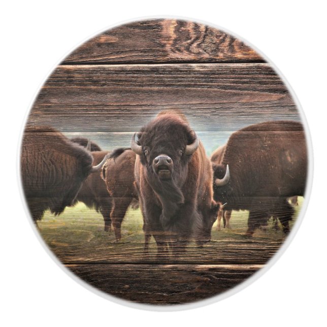 Beautiful Buffalo Herd Ceramic Knob (Front)
