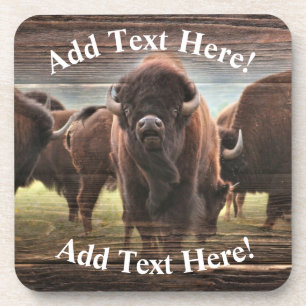 Beautiful Buffalo Herd Coaster