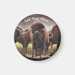 Beautiful Buffalo Herd  Magnet