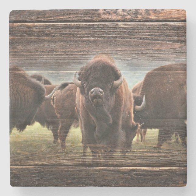 Beautiful Buffalo Herd Stone Coaster (Front)