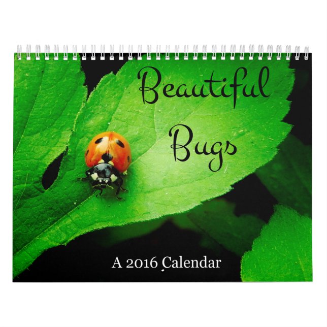 Beautiful Bugs 2016 Calendar (Cover)
