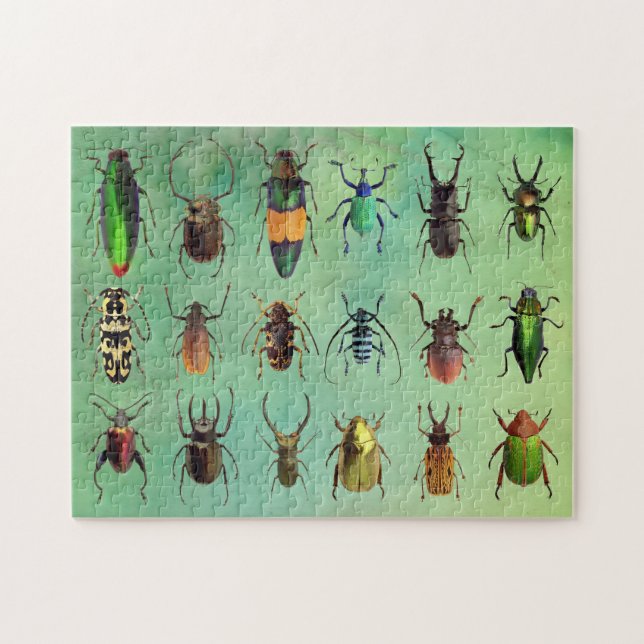 Beautiful Bugs Beetle Mania Puzzle (Horizontal)