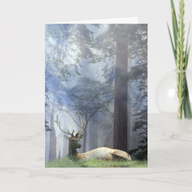 Beautiful Bull Elk in the Forest Season's Greeting Holiday Card (Front)