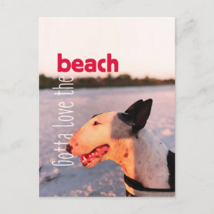 Beautiful Bull Terrier Postcard "Beach"