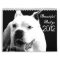 Beautiful Bullys 2012 Dog Calendar