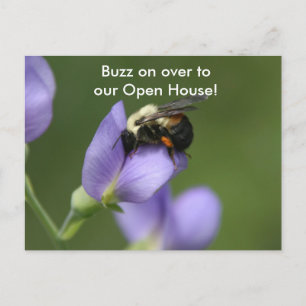 Beautiful Bumble Bee Postcard