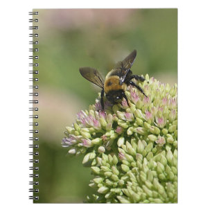 Beautiful Bumblebee Notebook