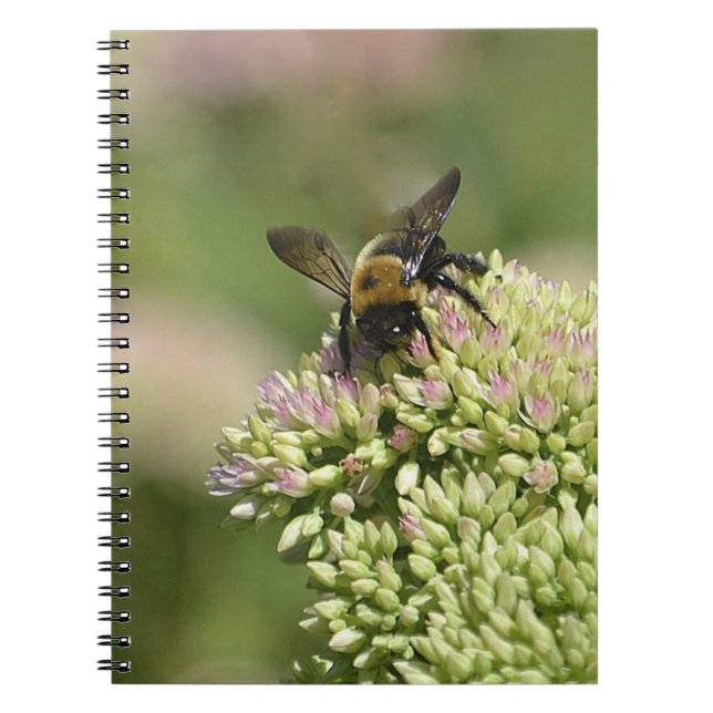 Beautiful Bumblebee Notebook (Front)