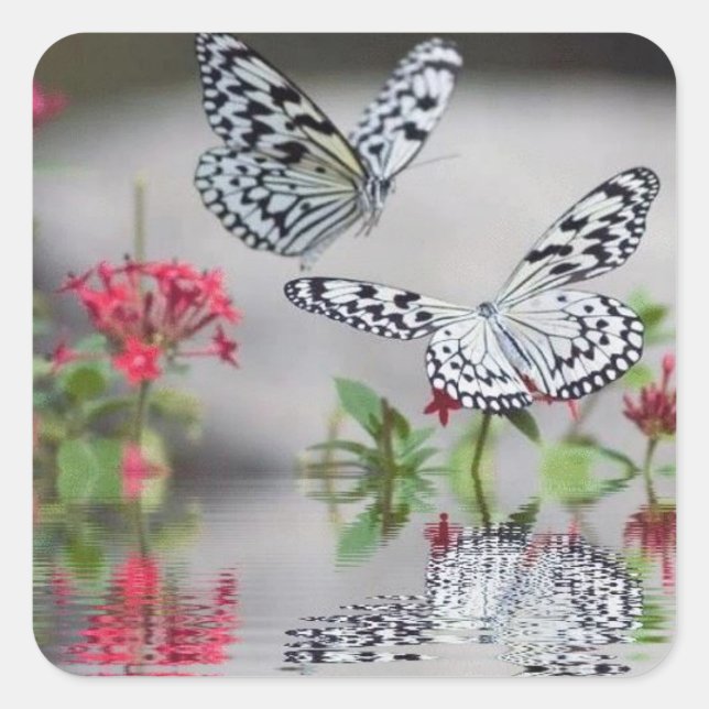Beautiful Butterflies in Flight Sticker Set (Front)