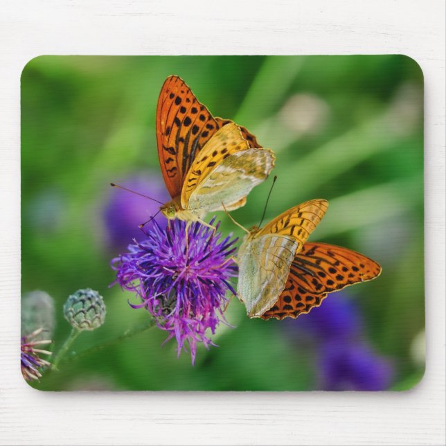 Beautiful Butterflies Mouse Mat (Front)