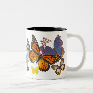 Beautiful Butterflies mug