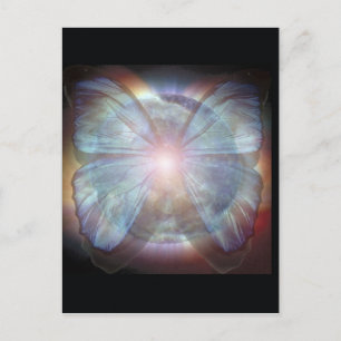 Beautiful Butterflies Postcard
