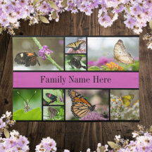 Beautiful Butterfly and Floral Family Name