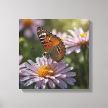 Beautiful Butterfly