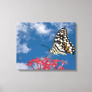 Beautiful Butterfly Canvas Print