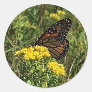 Beautiful Butterfly Classic Round Sticker