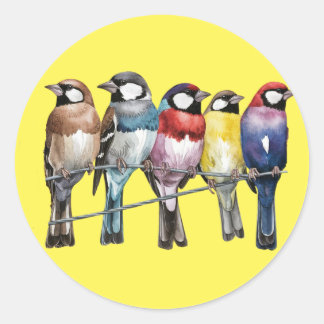 beautiful butterfly classic round sticker