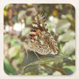 Beautiful Butterfly Coaster Set
