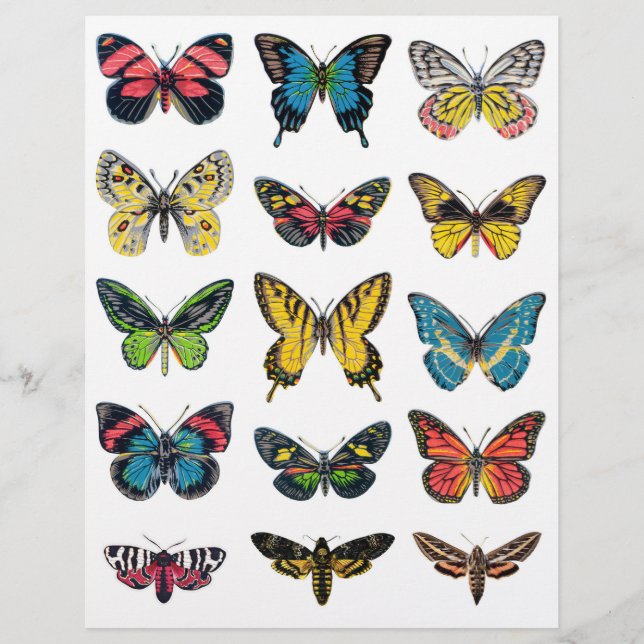 Beautiful Butterfly Illustrations for Crafting (Front)