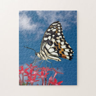 Beautiful Butterfly Jigsaw Puzzle