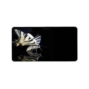 Beautiful butterfly label