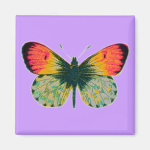 Beautiful Butterfly Magnet