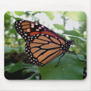 Beautiful Butterfly Mouse Mat