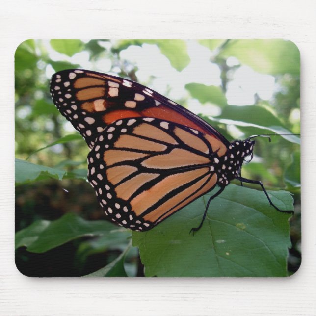 Beautiful Butterfly Mouse Mat (Front)