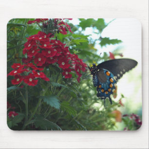 Beautiful Butterfly Mouse Mat