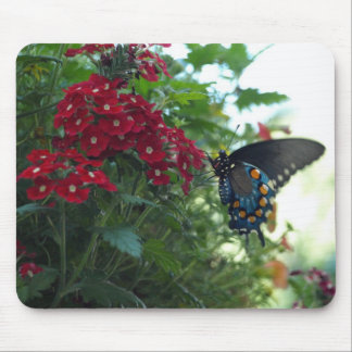 Beautiful Butterfly Mouse Mat