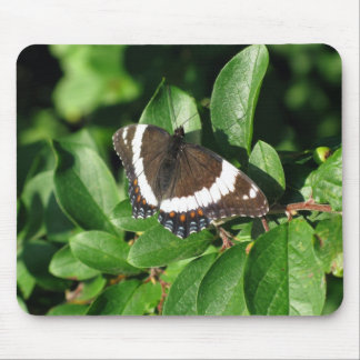 Beautiful Butterfly Mouse Mat