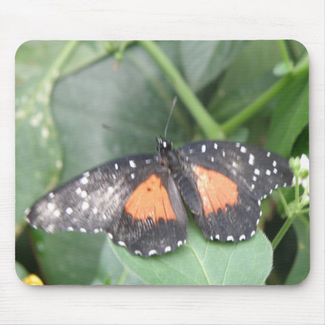 Beautiful Butterfly Mousepad (Front)