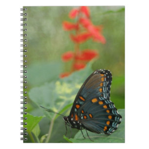 Beautiful Butterfly Notebook