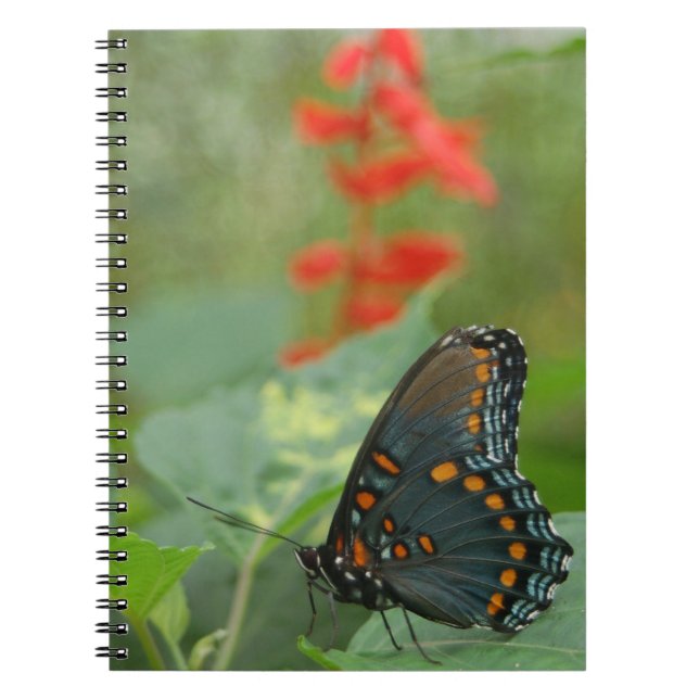 Beautiful Butterfly Notebook (Front)