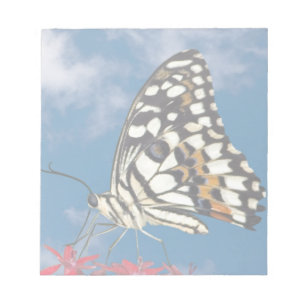 Beautiful Butterfly Notepad